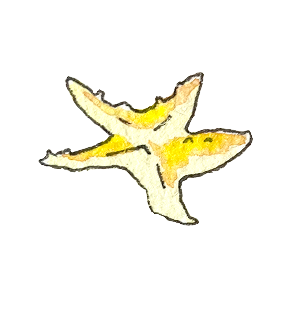 追浜えき・まち・みちデザインセンターとは?